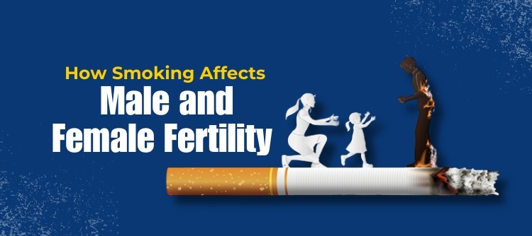 Impact of Smoking on Fertility