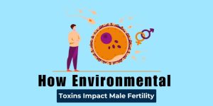 Male Fertility