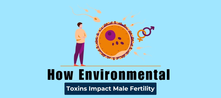 Male Fertility