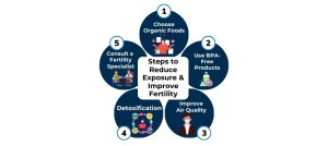 Steps to Reduce Exposure and Improve Fertility