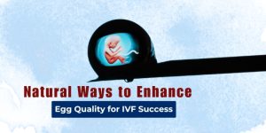 Egg Quality for IVF Success