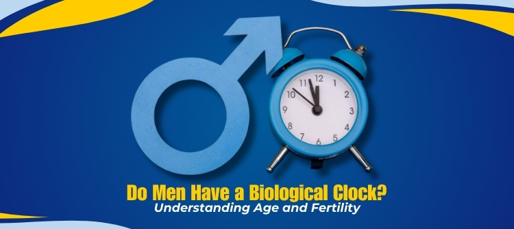 Male Fertility