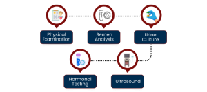 Diagnosis of Infections Affecting Fertility