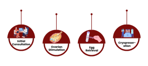 The Egg Freezing Process