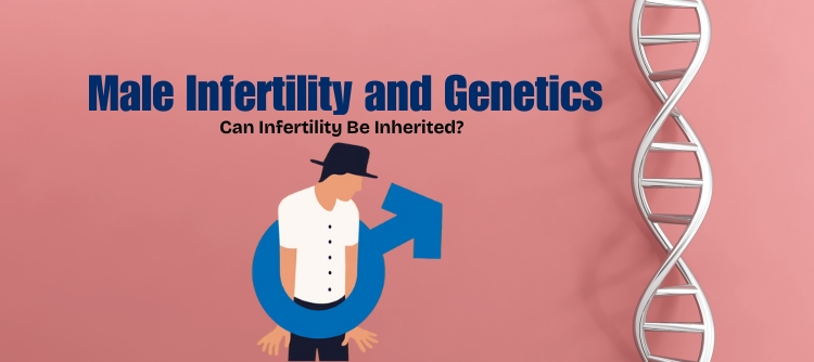 Male Infertility and Genetics