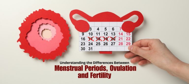 Menstrual Periods, Ovulation, and Fertility