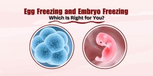 Egg Freezing and Embryo Freezing