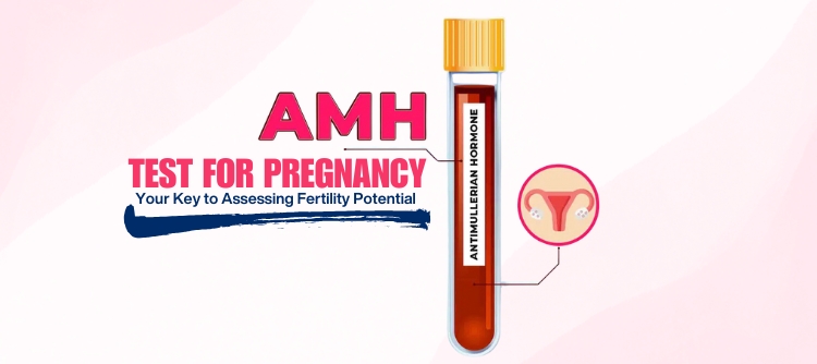 What is the AMH Test?