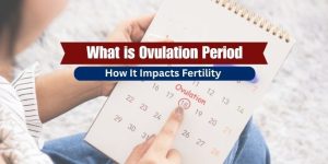 Ovulation Period
