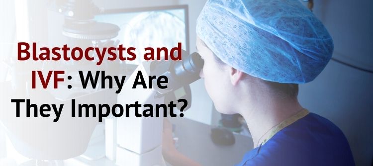 Blastocysts and IVF