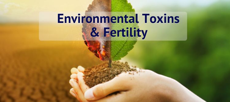 Environmental Toxins & Fertility