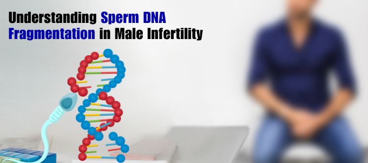 Sperm DNA Fragmentation: Causes, Testing & Treatment Explained