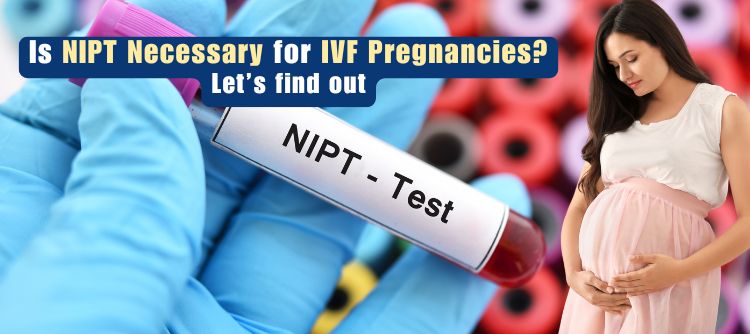NIPT in IVF